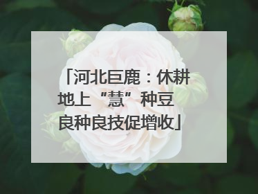 河北巨鹿：休耕地上“慧”种豆 良种良技促增收